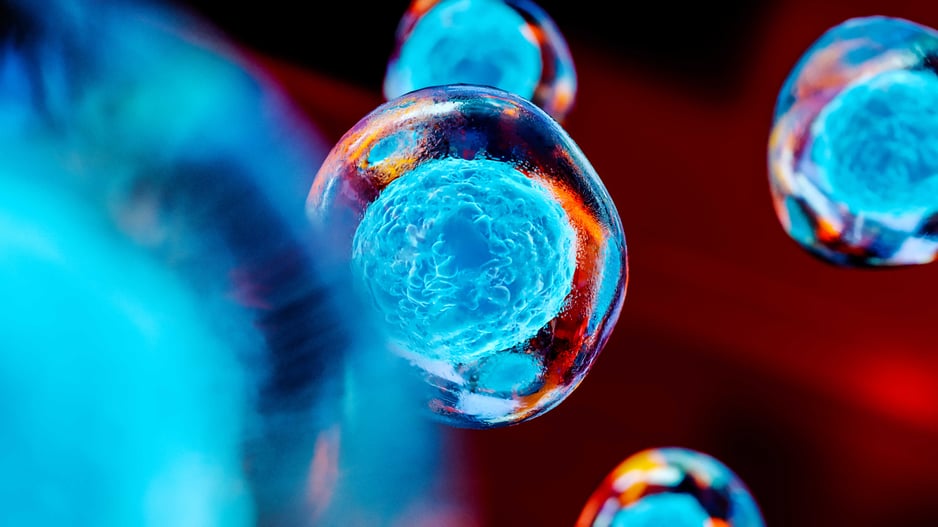 7 Ways to Promote Stem Cell Proliferation Biology Diagrams