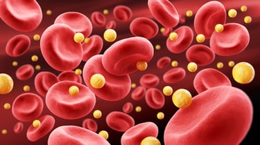 iStock-2167091887