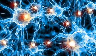 neurotransmission-breakthrough-neurosciencenews
