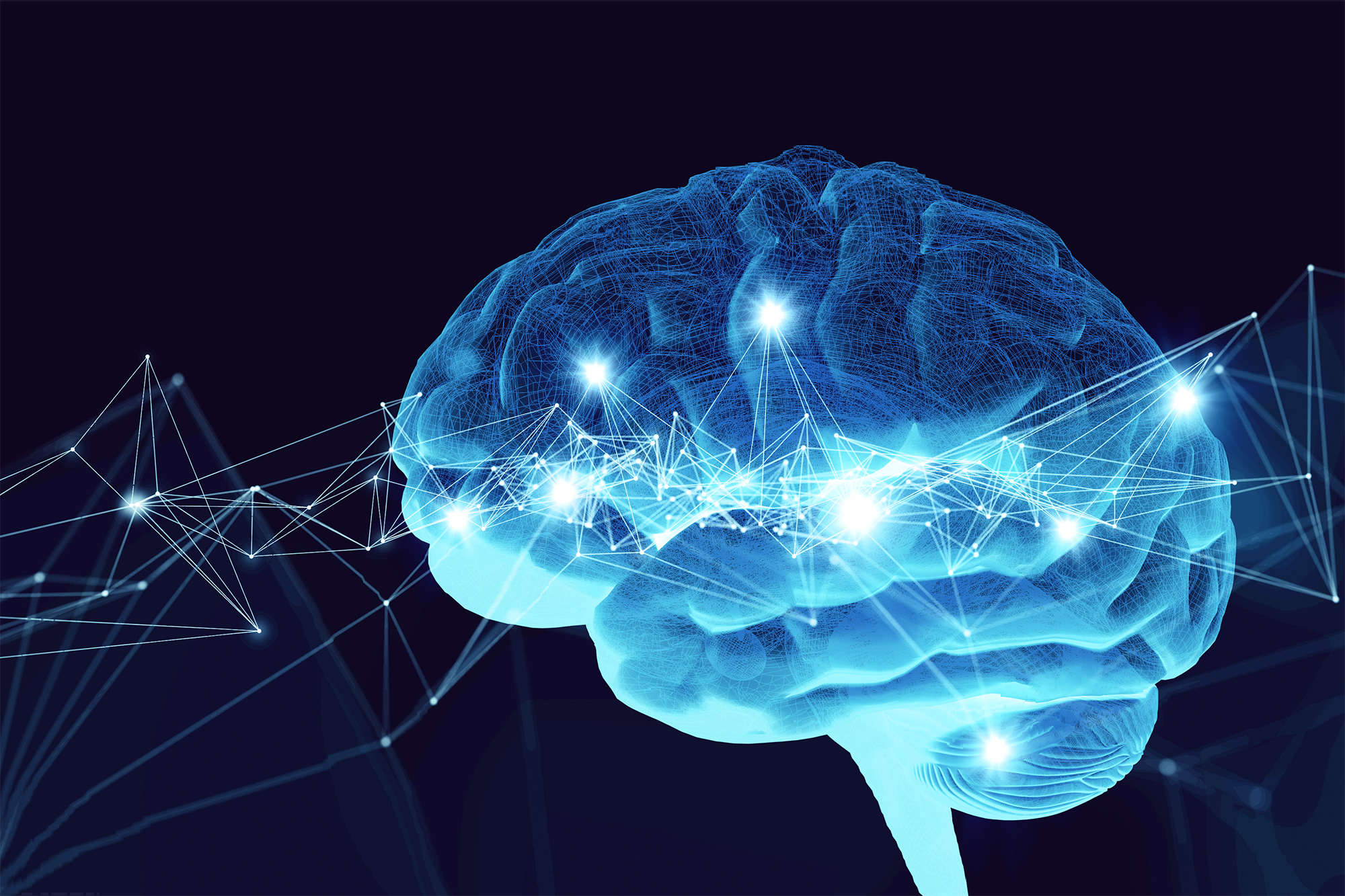 DHA Pathway to the Brain