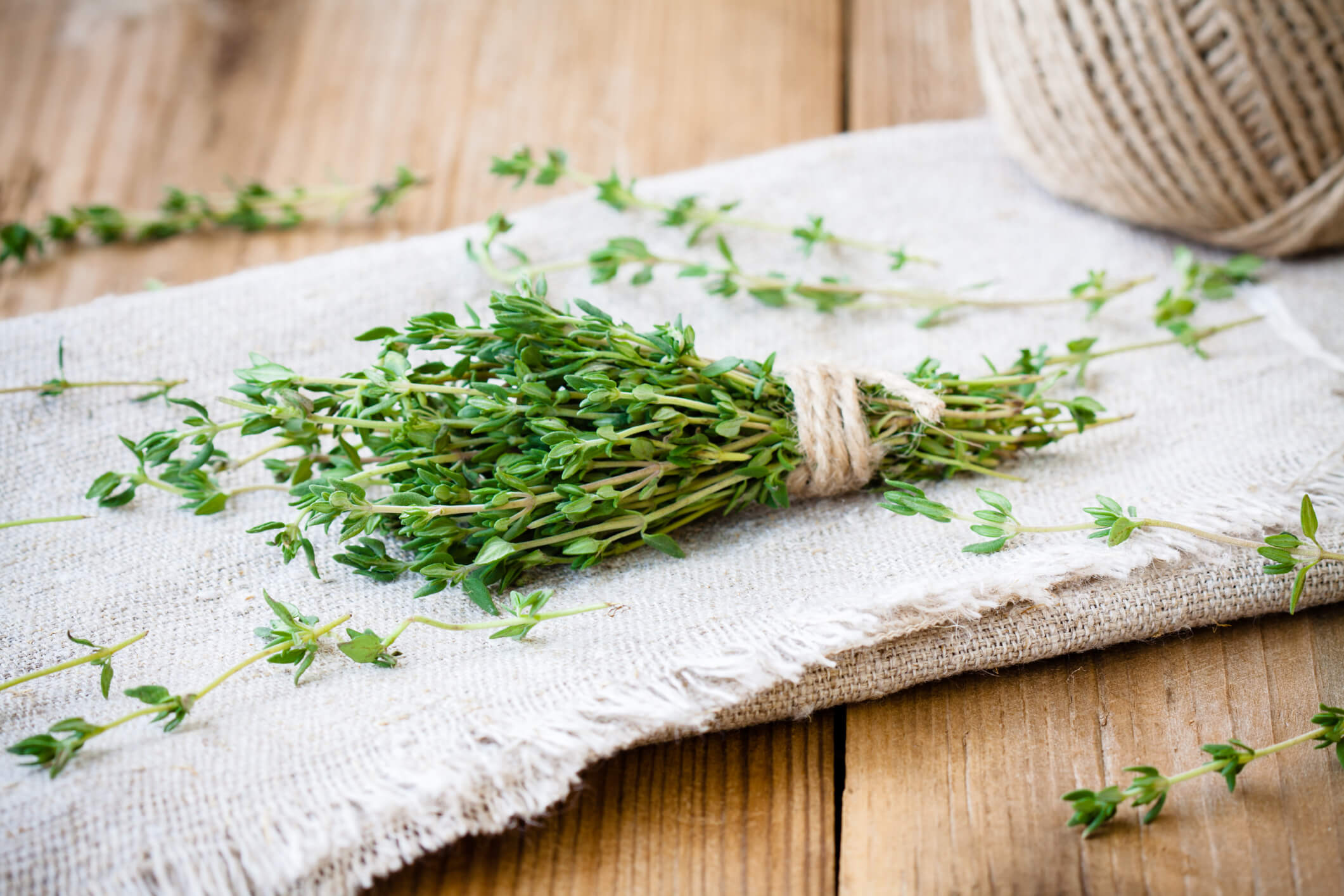 Thyme for Gut Health