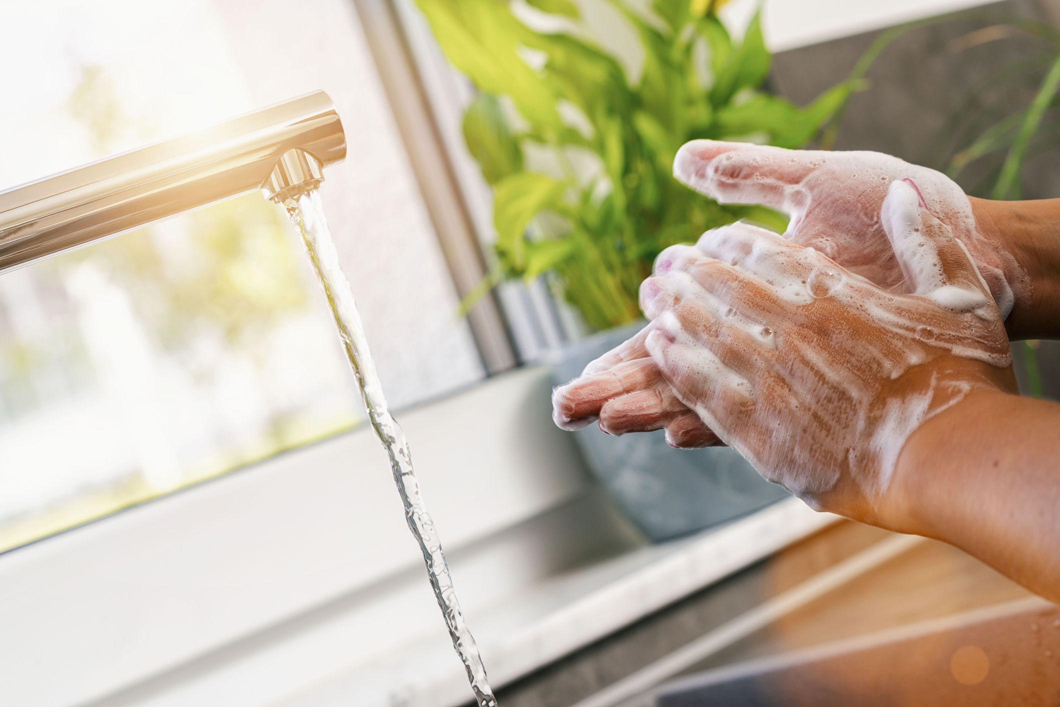 Wash Your Hands and Take Your Probiotics